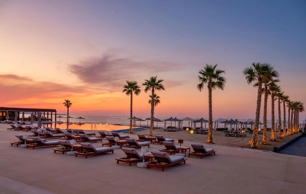 Palms and evening light · Nana Princess