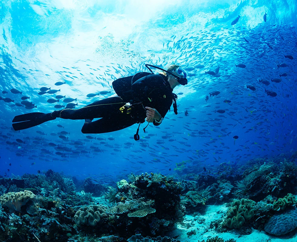 Scuba diving center · Nana Royal